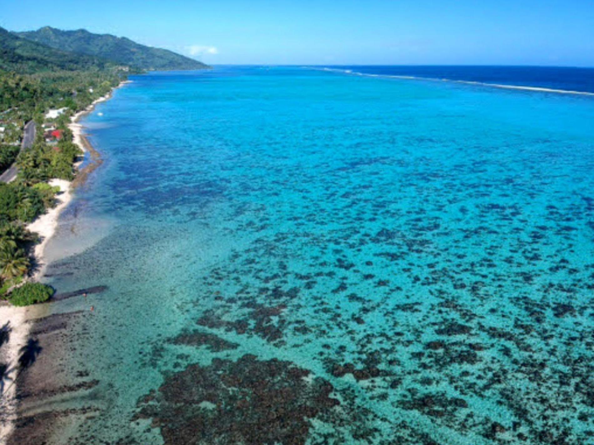 Moorea - Fare Taina Iti Haapiti Exterior foto